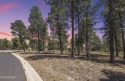 Exceptional home site nestled amongst mature ponderosa pines on for sale in Flagstaff Arizona Coconino County County on GolfHomes.com