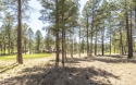 Ad# 6187398 golf course property for sale on GolfHomes.com