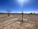 Beautiful land ready for you to build your dream home, these 2 for sale in Anthony New Mexico Dona Ana County County on GolfHomes.com