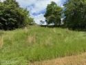 Build your dream home on this beautiful 0.95-acre lot in the for sale in Tazewell Tennessee Claiborne County County on GolfHomes.com