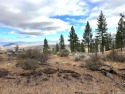 Embrace the potential of this amazing 3/4-acre Clear Creek Tahoe for sale in Carson City Nevada Douglas County County on GolfHomes.com