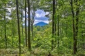 Discover the best of mountain living at 108 Uplands, an for sale in Cashiers North Carolina Jackson County County on GolfHomes.com