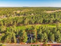  Ad# 6216984 golf course property for sale on GolfHomes.com