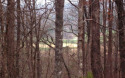 THE BEST LOT IN TIMBERLINE ACRES! Very Gentle, Good Building for sale in Young Harris Georgia Towns County County on GolfHomes.com