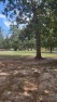 2 lots on the 18th green at Crown Colony golf course with for sale in Lufkin Texas Angelina County County on GolfHomes.com