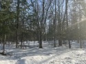BEAUTIFULLY WOODED LOT IN A NICE SUBDIVISION, ABOUT 18 MILES for sale in Summit Lake Wisconsin Langlade County County on GolfHomes.com