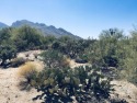 Rare availability, .81 Acre lot in sought-after OVCC Estates for sale in Tucson Arizona Pima County County on GolfHomes.com