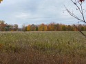 Looking to build your home in a country setting on 1.5 acres? for sale in Scotts Michigan Kalamazoo County County on GolfHomes.com