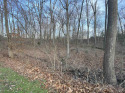 Fantastic Christmas Lake lakeviews from these two wooded lots on for sale in Santa Claus Indiana Spencer County County on GolfHomes.com