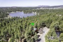 Don't miss this gorgeous, treed lot in the cool pines of Munds for sale in Munds Park Arizona Coconino County County on GolfHomes.com