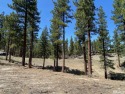 The building site on this spacious estate parcel sits high above for sale in Carson City Nevada Douglas County County on GolfHomes.com