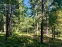 Build your dream cabin in the heart of Blue Lake Springs, one of for sale in Arnold California Calaveras County County on GolfHomes.com