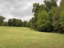 Fantastic building lot on 16th tee on Dogwood golf course for sale in Bella Vista Arkansas Benton County County on GolfHomes.com