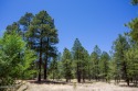 Saddle Up for Serenity in Lakeside Acres in the Country Club for sale in Flagstaff Arizona Coconino County County on GolfHomes.com
