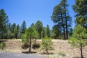  Ad# 6347821 golf course property for sale on GolfHomes.com