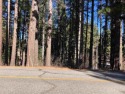 Sweet level parcel on quiet end of Mohave Trail. Ready to build for sale in Graeagle California Plumas County County on GolfHomes.com