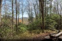 Nestled in the illustrious Trillium community, this exquisite 3 for sale in Cullowhee North Carolina Jackson County County on GolfHomes.com
