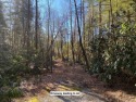 Great opportunity to purchase the last of the buildable lots in for sale in Highlands North Carolina Macon County County on GolfHomes.com