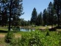 Premier Golf Course lot in Bailey Creek.  On the 9th fairway for sale in Lake Almanor California Plumas County County on GolfHomes.com