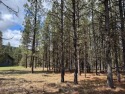 Ad# 6075188 golf course property for sale on GolfHomes.com