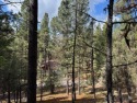 Ad# 6075188 golf course property for sale on GolfHomes.com