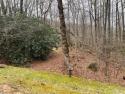 Enjoy almost three acres with a private site for your mountain for sale in Glenville North Carolina Jackson County County on GolfHomes.com
