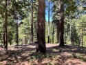 Do you want to live the mountain life, and enjoy the beauty that for sale in Dorrington California Calaveras County County on GolfHomes.com