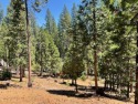 Buy into Blue Lake Springs Arnold's most desirable community for sale in Arnold California Calaveras County County on GolfHomes.com