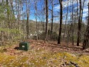 Location is key and this lot is in the heart of the Sapphire for sale in Sapphire North Carolina Jackson County County on GolfHomes.com