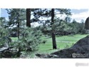 Lot 5; On North side of 5th Fairway in the Gated Fox Acres for sale in Red Feather Lakes Colorado Larimer County County on GolfHomes.com