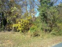 Nice building lot in Sapona Country Club for your new homemunity for sale in Lexington North Carolina Davidson County County on GolfHomes.com