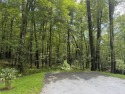 On the *original,* aka Clubhouse side of the neighborhood in the for sale in Cashiers North Carolina Jackson County County on GolfHomes.com