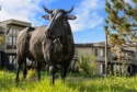 For the first time ever, this spectacular lot in the prestigious for sale in Bozeman Montana Gallatin County County on GolfHomes.com
