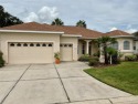 ROOF 2020, POOL 2009, HVAC 2024, HOT WATER HEATER 2006. Home for sale in Summerfield Florida Marion County County on GolfHomes.com