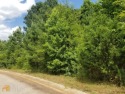 Fantastic One Acre Level Lot located on the second hole of The for sale in Lagrange Georgia Troup County County on GolfHomes.com