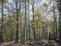 Superior View Lot in Trillium Village. After selective clearing for sale in Cashiers North Carolina Jackson County County on GolfHomes.com