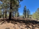  Ad# 5989018 golf course property for sale on GolfHomes.com