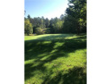 Potential, Potential, Potential: 26+ of flat, wooded acres for sale in Emily Minnesota Crow Wing County County on GolfHomes.com