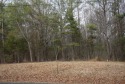 2 acres with beautiful views of the Smoky Mountain Golf Course for sale in Newport Tennessee Cocke County County on GolfHomes.com