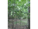  Ad# 4960984 golf course property for sale on GolfHomes.com