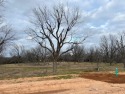 Nestled within the highly sought-after Pecan Plantation for sale in Granbury Texas Hood County County on GolfHomes.com