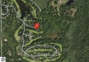 Nicely wooded lot in Lakewood on the Green. This 1 acre lot is for sale in Cadillac Michigan Wexford County County on GolfHomes.com