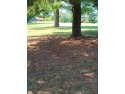 Beautiful, easy build lot in Golf course community sitting just for sale in Baneberry Tennessee Jefferson County County on GolfHomes.com