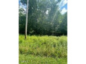 Nice buildable lot in the Comanche subdivision with Natural Gas, Tennessee