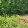Nice buildable lot in the Sioux subdivision with Natural Gas for sale in Crossville Tennessee Cumberland County County on GolfHomes.com