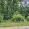 Nice buildable lot in the Cree subdivision with Natural Gas, Tennessee