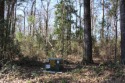 Nice lot in lake area subdivision that offers two community boat for sale in Hemphill Texas Sabine County County on GolfHomes.com