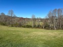 GREAT buildable 1.38 acre lot on this beautiful gently sloped for sale in Blairsville Georgia Union County County on GolfHomes.com