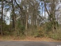 A wonderful opportunity to build on a beautiful tree-lined lot for sale in Georgetown South Carolina Georgetown County County on GolfHomes.com