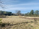 With great road frontage and exposure to Highway 59, this 1.9 for sale in Atlanta Texas Cass County County on GolfHomes.com